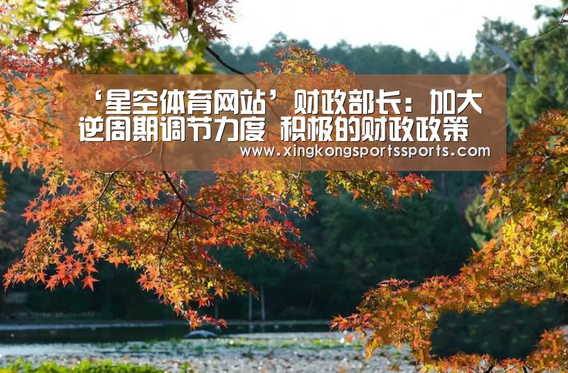 ‘星空体育网站’财政部长:加大逆周期调节力度 积极的财政政策更加积极有为(图4) 星空体育