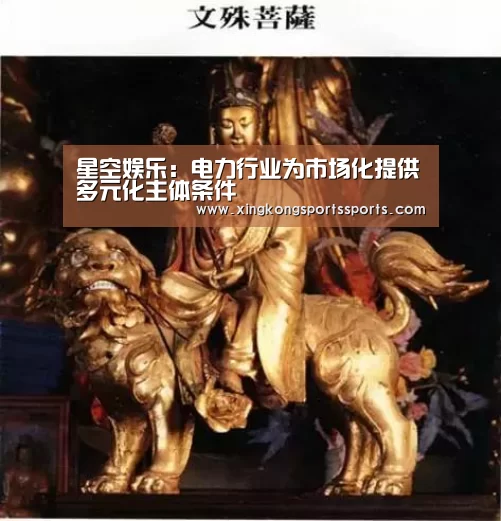 星空娱乐：电力行业为市场化提供多元化主体条件(图1)